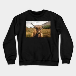 Scottish Highlander Cow Crewneck Sweatshirt